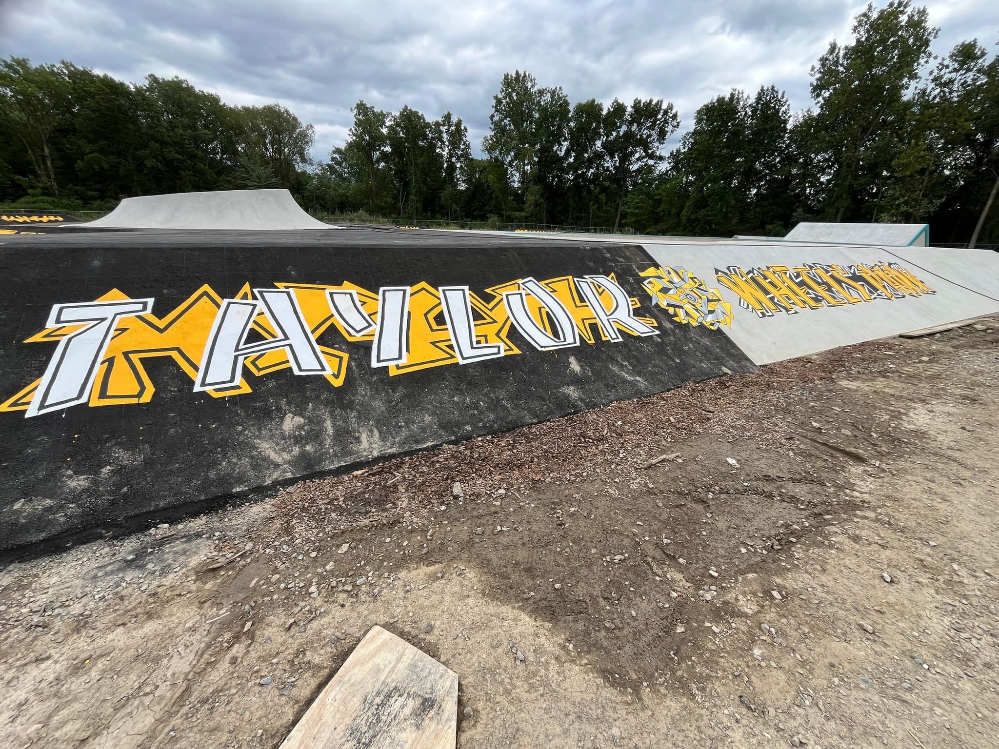 Taylor Wheels Park mural by Zack Goulet